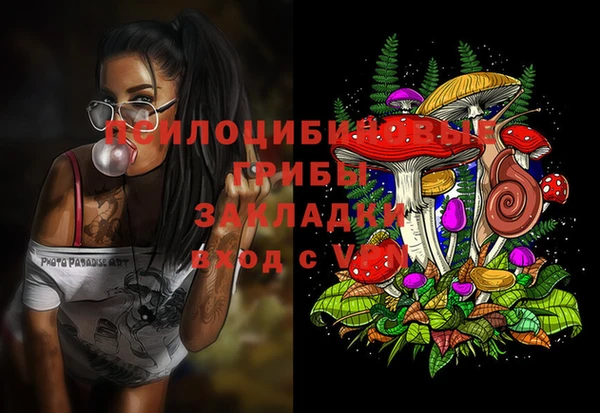 дживик Верея