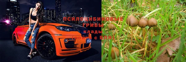 дживик Верея