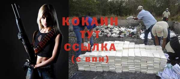 спиды Бронницы